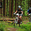The Rocky Mountain "Love the Ride" chip-timed sections have proved a hit and will return next year