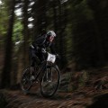 Ritchey TrailMasters