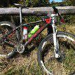 Andy Blair continued his winning ways on his Felt 9 at the 2012 Wollombi Wild Ride
