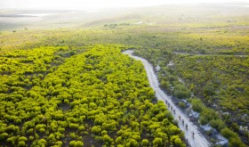 Absa Cape Epic 2012 Stage 4 Caledon