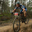 Roeland Wombat 100