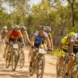 The lead bunch of the 2014 Crocodile Trophy. Photo: Tim Bardsley-Smith