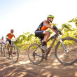 Absa Cape Epic 2013 Stage 5 Wellington