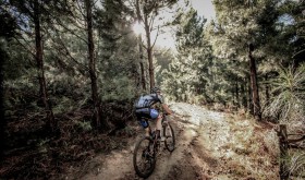 Riding at the ABSA Cape Epic. Photo: Raoul de Jongh
