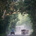 Garden Route 300