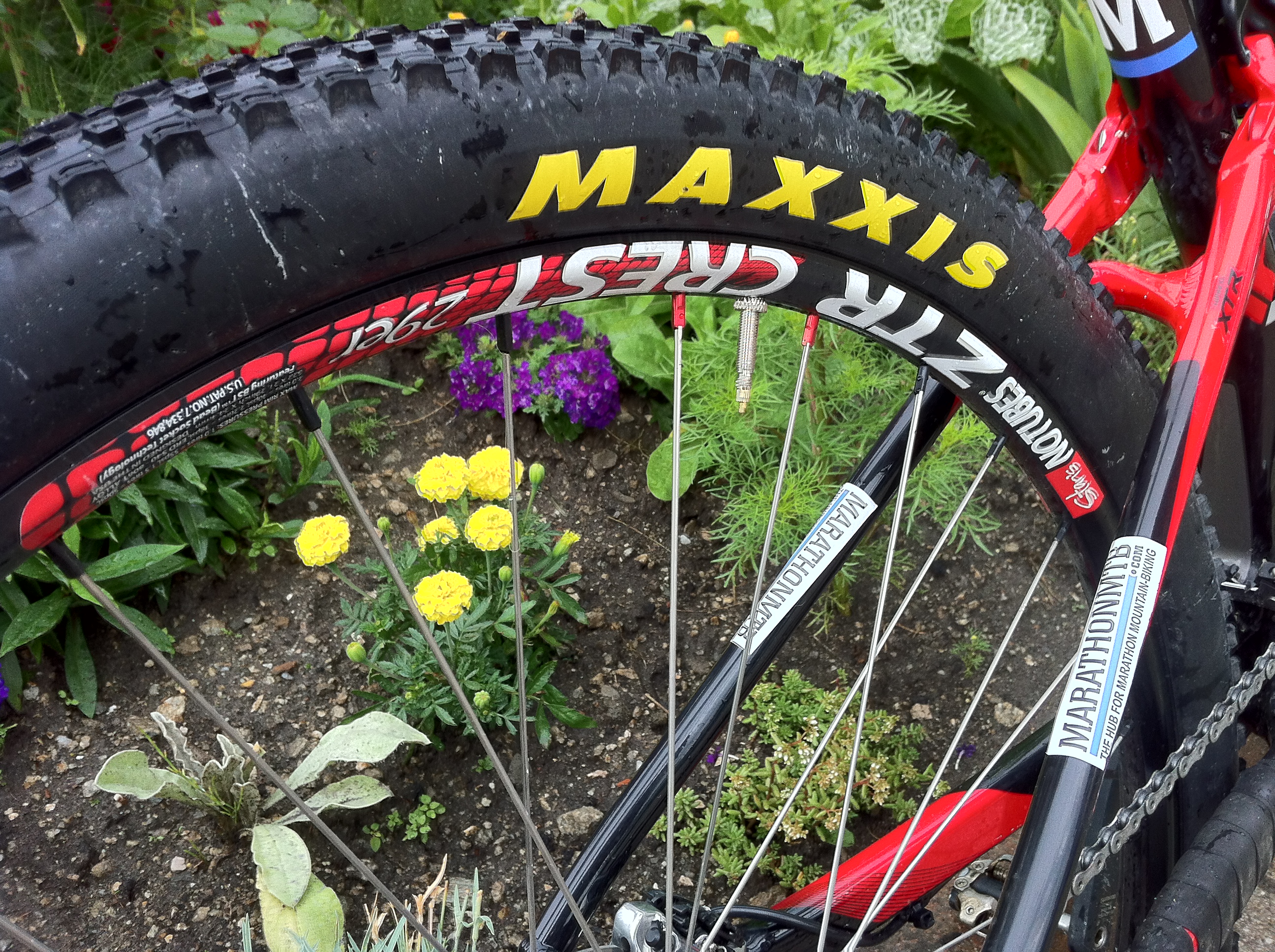 New tyres and new wheels - feeling flash for the Dolomiti Superbike