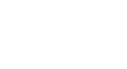 Ride Mechanic